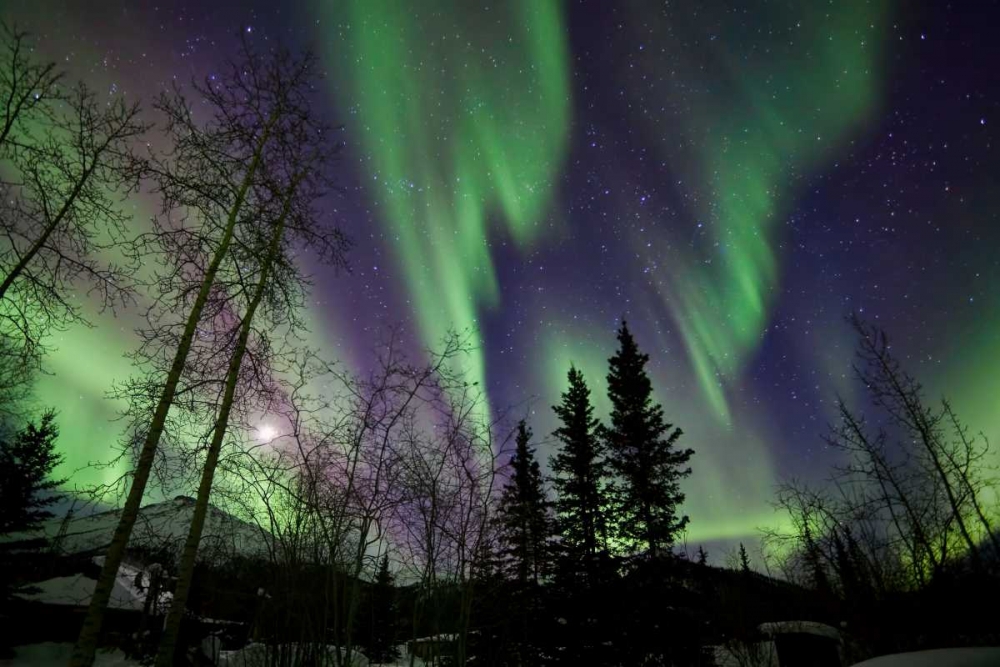 Aurora Borealis X art print by Larry Malvin for $57.95 CAD
