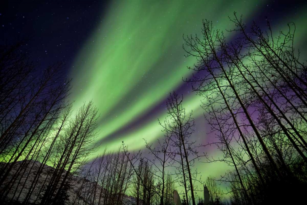 Aurora Borealis XI art print by Larry Malvin for $57.95 CAD