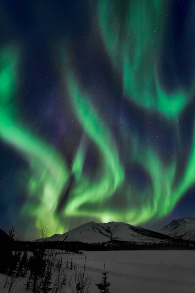 Aurora Borealis XIV art print by Larry Malvin for $57.95 CAD