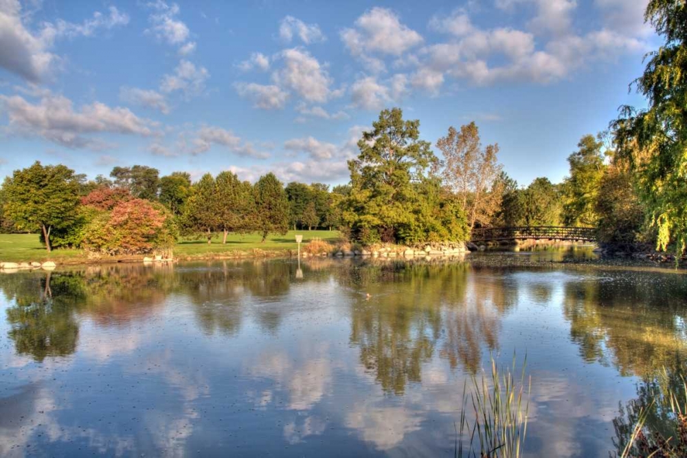 Flick Park Lake art print by Larry Malvin for $57.95 CAD