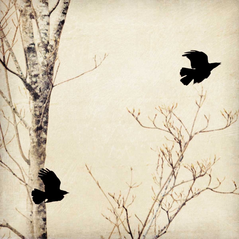 In Flight I art print by Amy Melious for $57.95 CAD