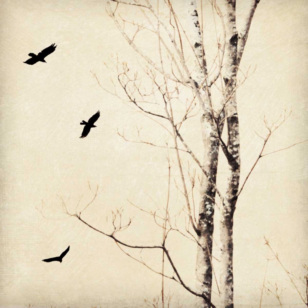 In Flight II art print by Amy Melious for $57.95 CAD