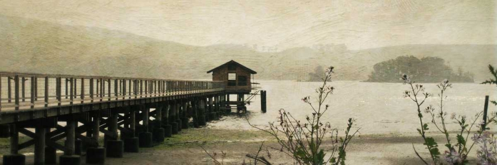 Marshall I art print by Amy Melious for $57.95 CAD