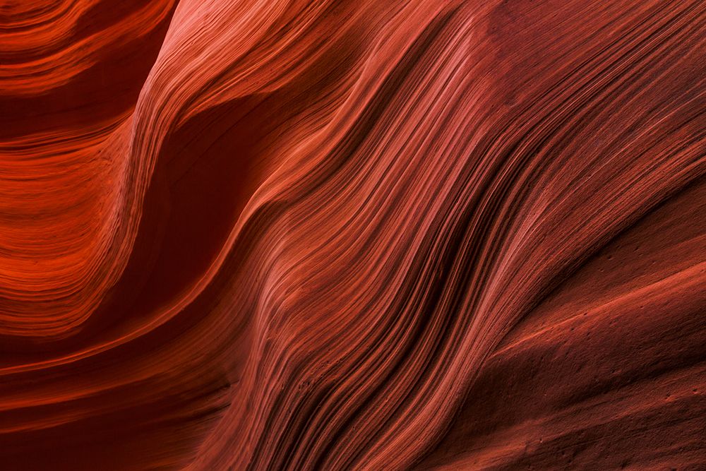 Canyon X 1 art print by Kathy Mahan for $57.95 CAD
