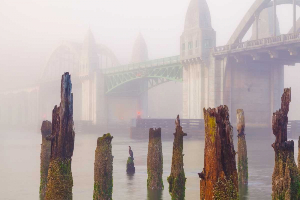Suslaw River Bridge IV art print by Kathy Mahan for $57.95 CAD