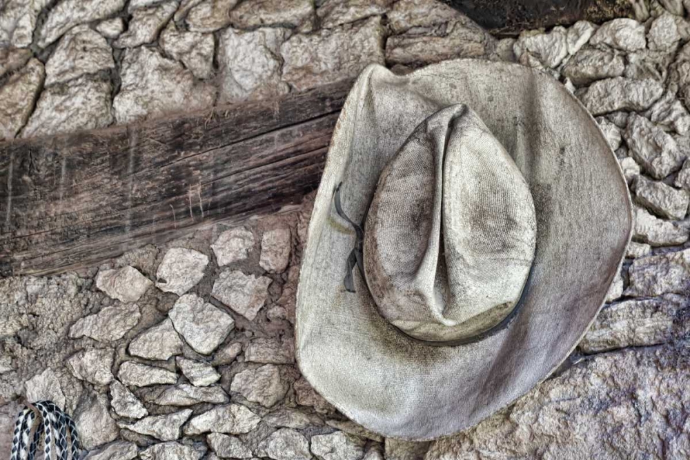 Cowboy Hats I art print by Kathy Mahan for $57.95 CAD