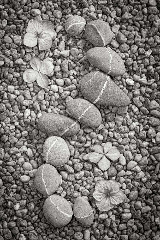 Curving Rocks I art print by Kathy Mahan for $57.95 CAD