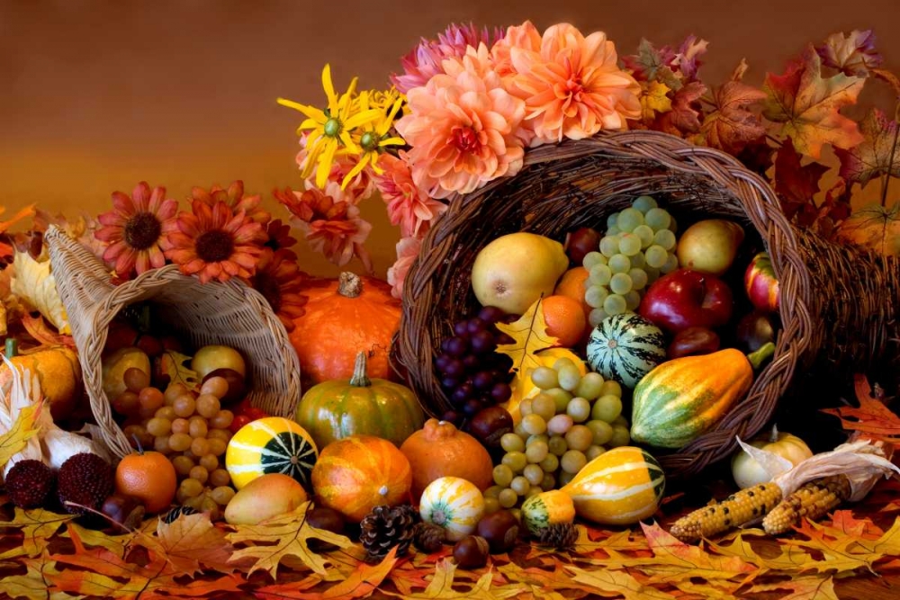 Cornucopia II art print by Kathy Mahan for $57.95 CAD