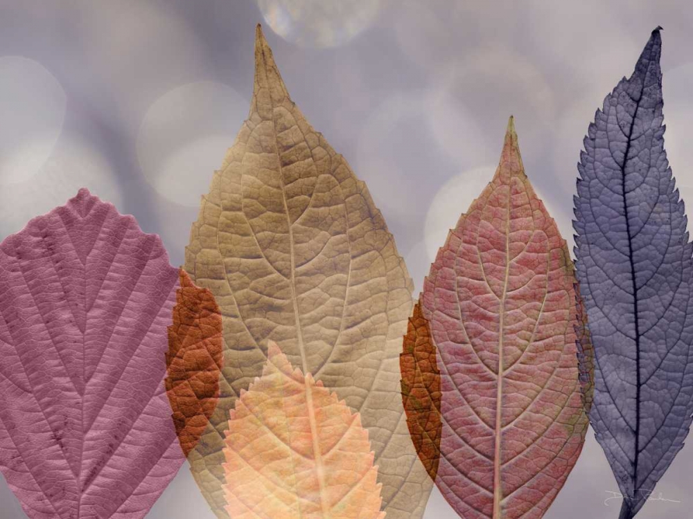 Leaf Patterns I art print by Kathy Mahan for $57.95 CAD