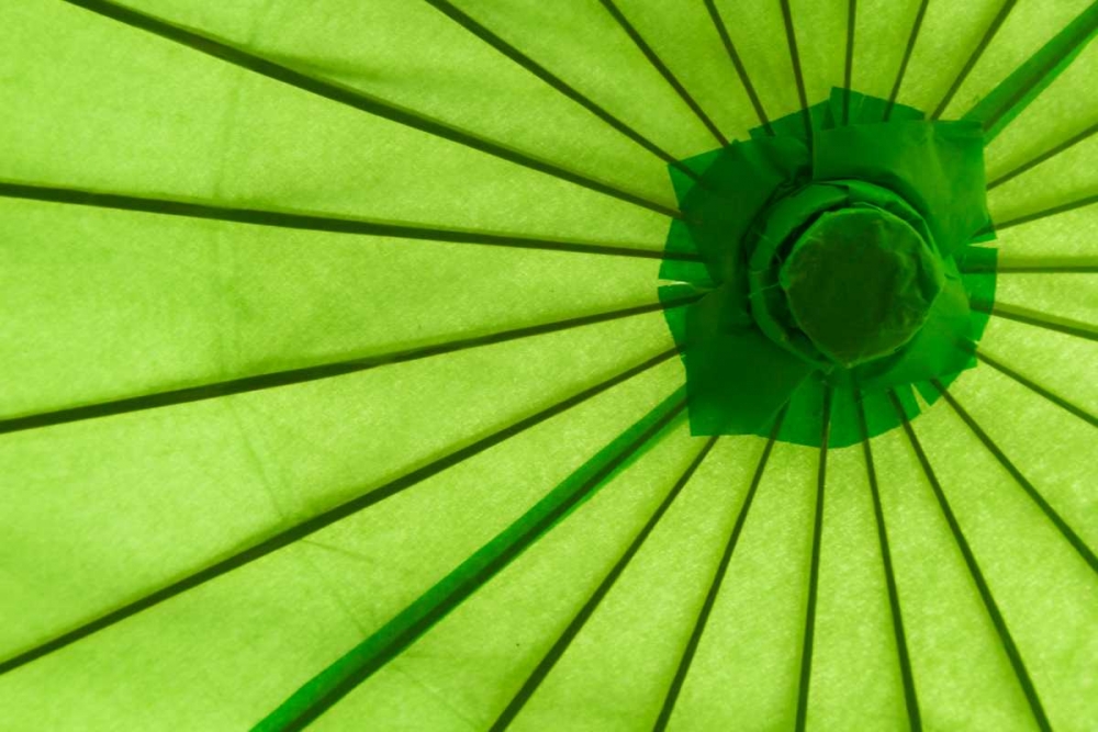 Green Umbrella art print by Kathy Mahan for $57.95 CAD