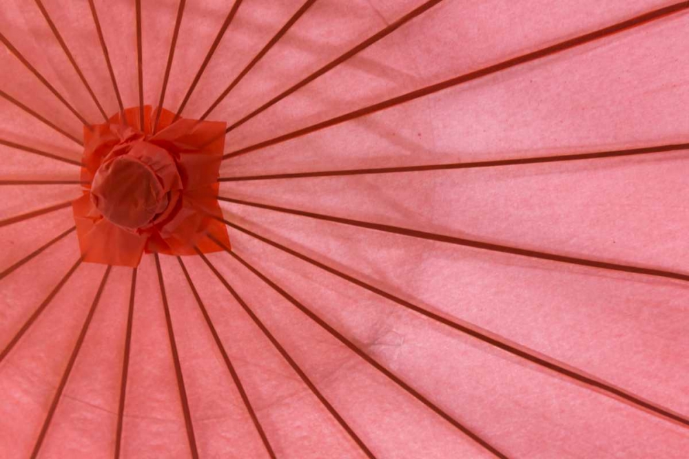 Red Umbrella art print by Kathy Mahan for $57.95 CAD