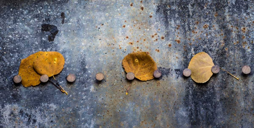 Corroded Metal I art print by Kathy Mahan for $57.95 CAD