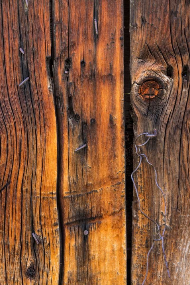 Wood Detail II art print by Kathy Mahan for $57.95 CAD