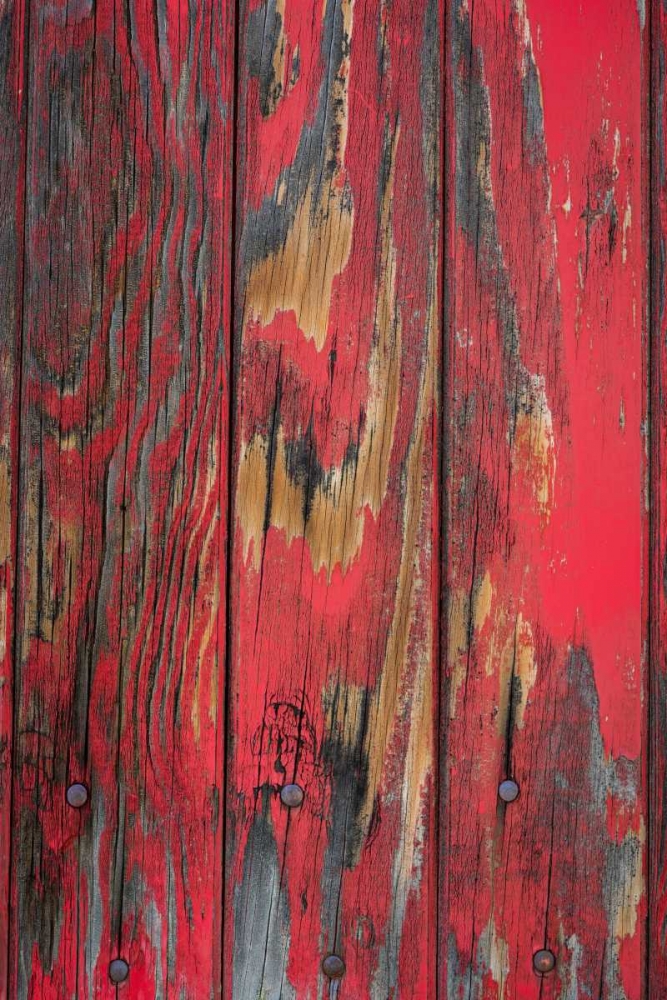 Old Paint I art print by Kathy Mahan for $57.95 CAD