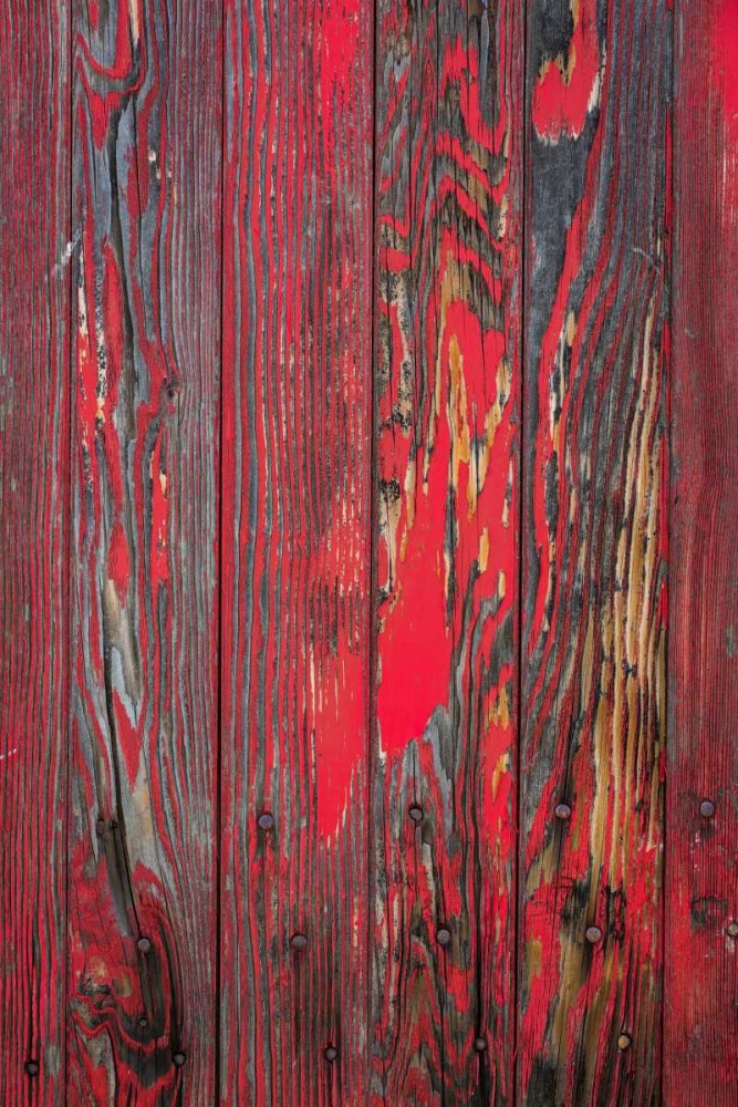 Old Paint II art print by Kathy Mahan for $57.95 CAD