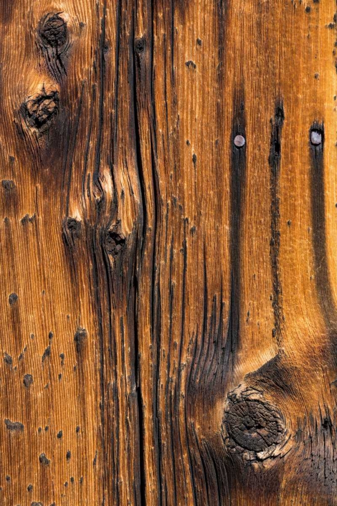 Wood Detail I art print by Kathy Mahan for $57.95 CAD