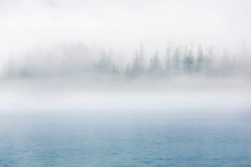 Alaska Fog I art print by Kathy Mahan for $57.95 CAD