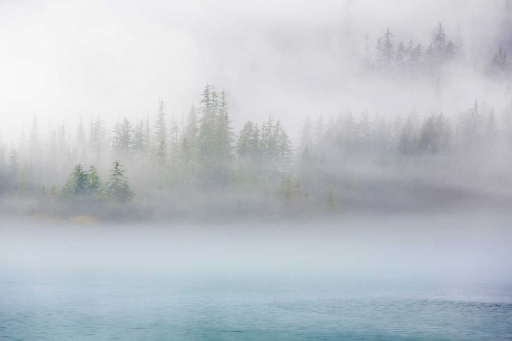 Alaska Fog II art print by Kathy Mahan for $57.95 CAD