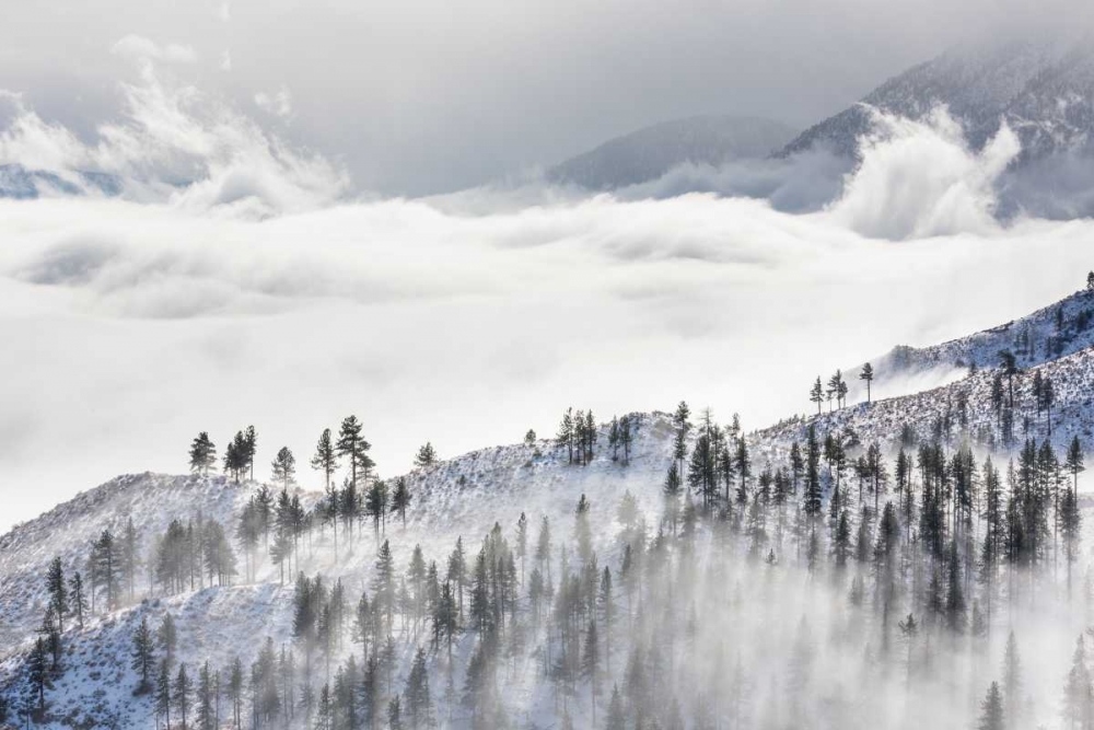 Daggett Pass II art print by Kathy Mahan for $57.95 CAD
