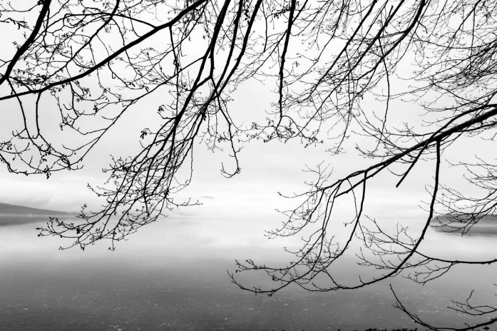 Seabeck Winter II art print by Kathy Mahan for $57.95 CAD