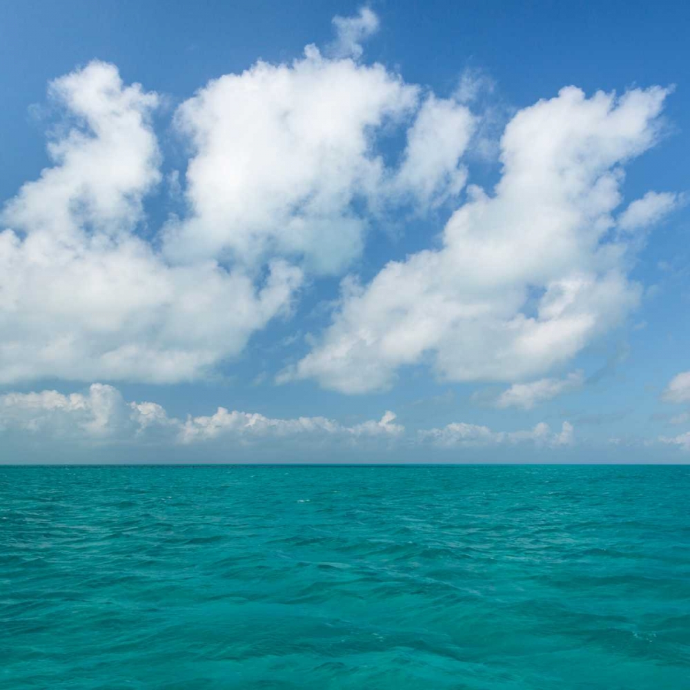 Tropical Seascape I art print by Kathy Mahan for $57.95 CAD