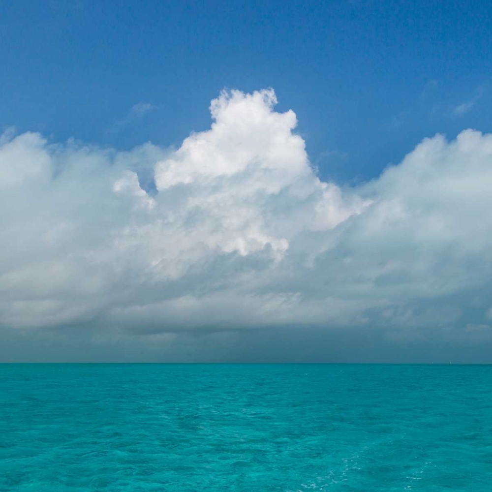 Tropical Seascape II art print by Kathy Mahan for $57.95 CAD