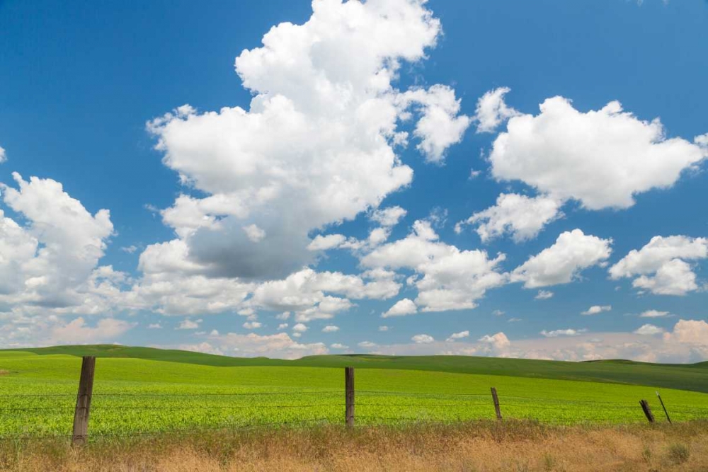 Palouse Farm I art print by Kathy Mahan for $57.95 CAD