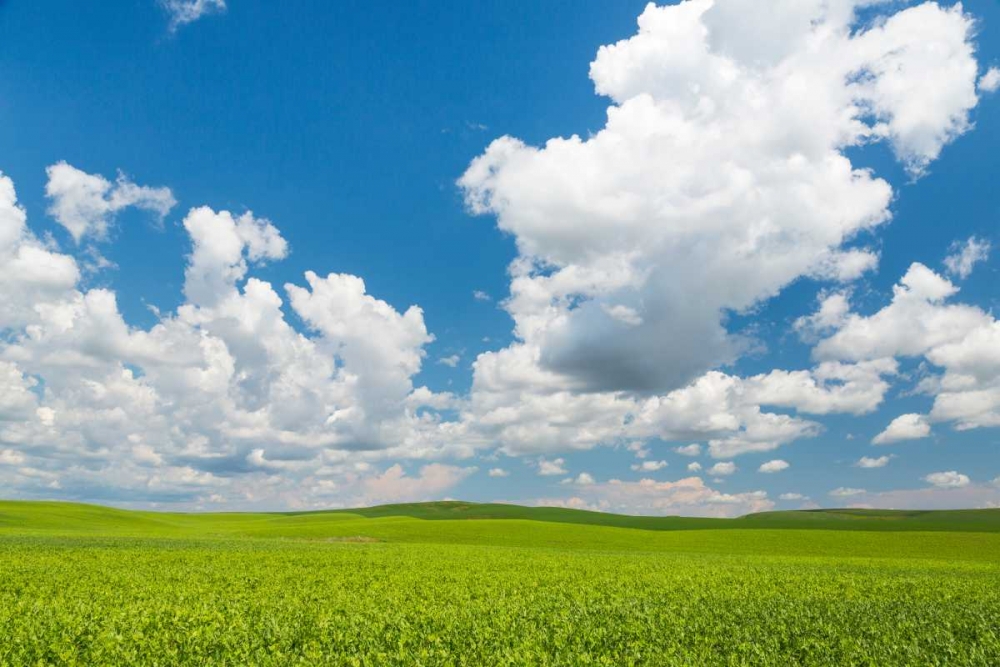 Palouse Farm II art print by Kathy Mahan for $57.95 CAD