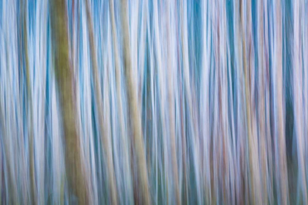 Winter Forest Abstract I art print by Kathy Mahan for $57.95 CAD