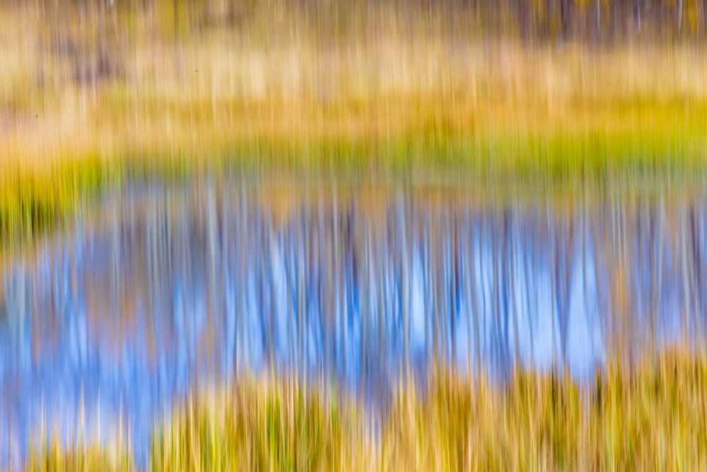 Fall Pond I art print by Kathy Mahan for $57.95 CAD