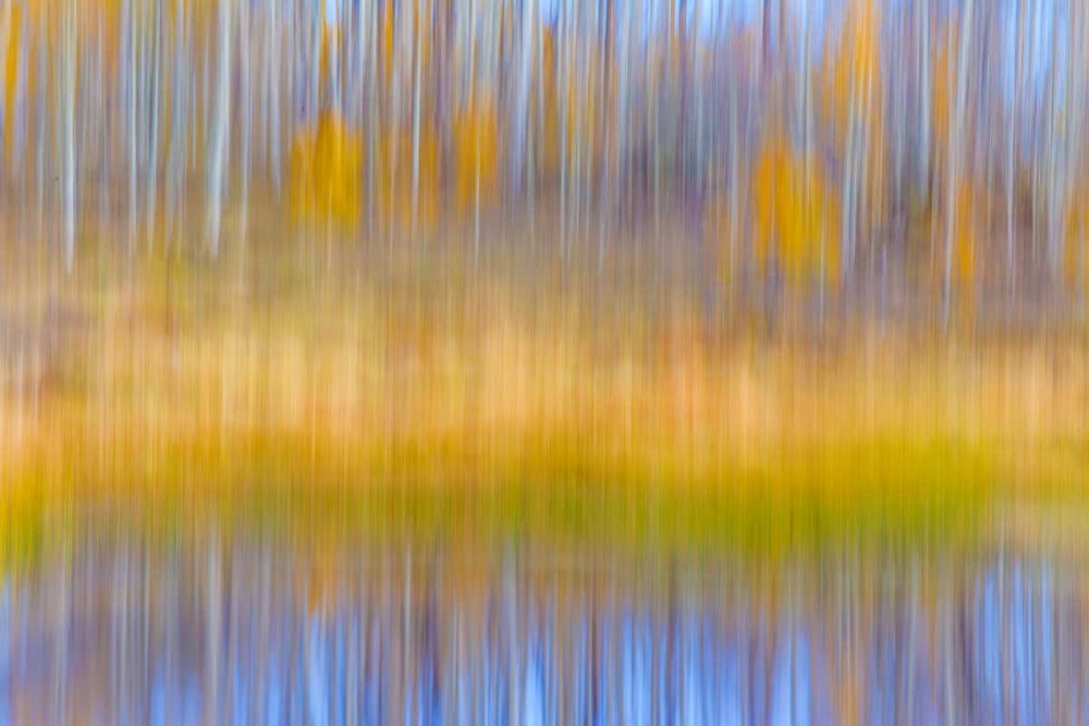 Fall Pond II art print by Kathy Mahan for $57.95 CAD