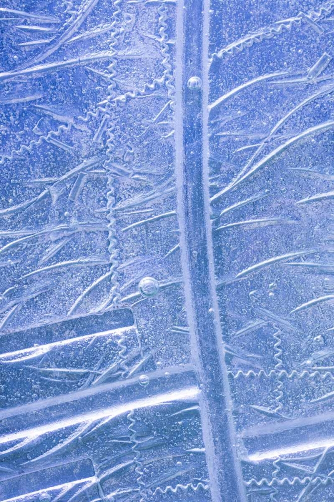 Patterns in Glass I art print by Kathy Mahan for $57.95 CAD