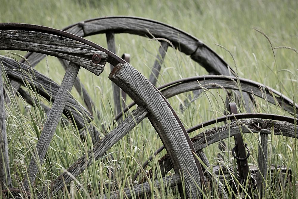 Old Wagon Wheels I art print by Kathy Mahan for $57.95 CAD