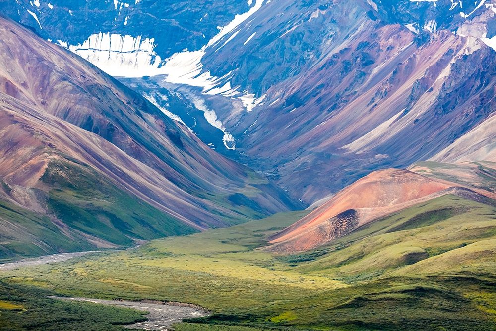 Danali National Park I art print by Kathy Mahan for $57.95 CAD