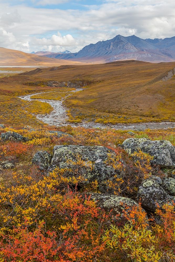 Arctic National Preserve I art print by Kathy Mahan for $57.95 CAD