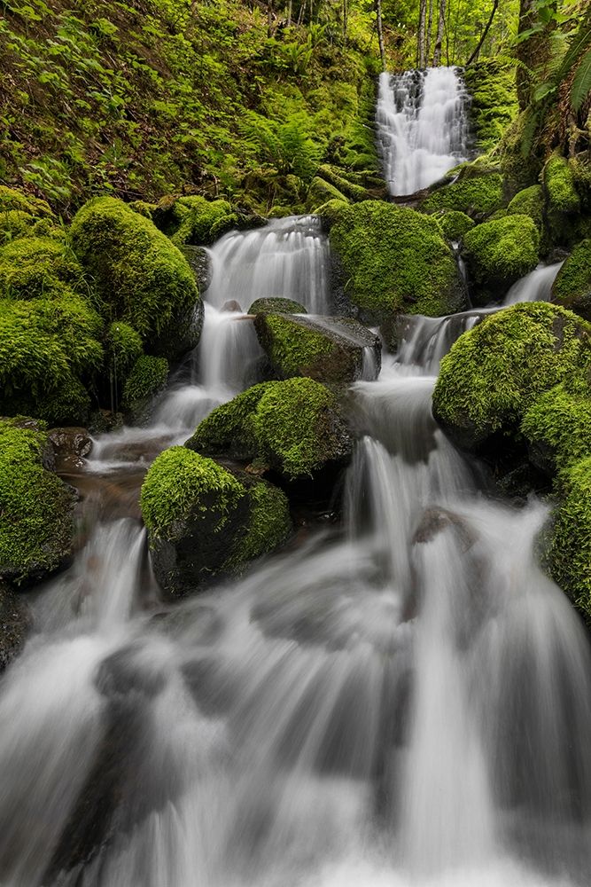 Waterfall I art print by Kathy Mahan for $57.95 CAD