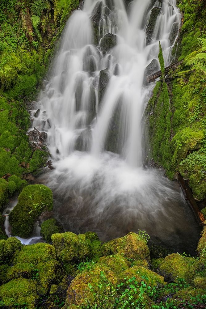 Waterfall II art print by Kathy Mahan for $57.95 CAD