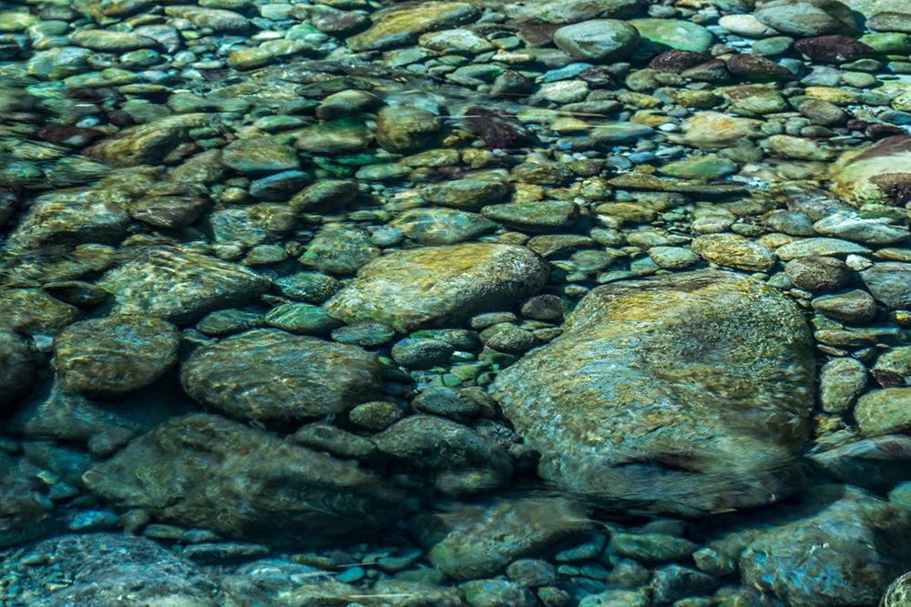 Sol Duc River Rocks II art print by Kathy Mahan for $57.95 CAD