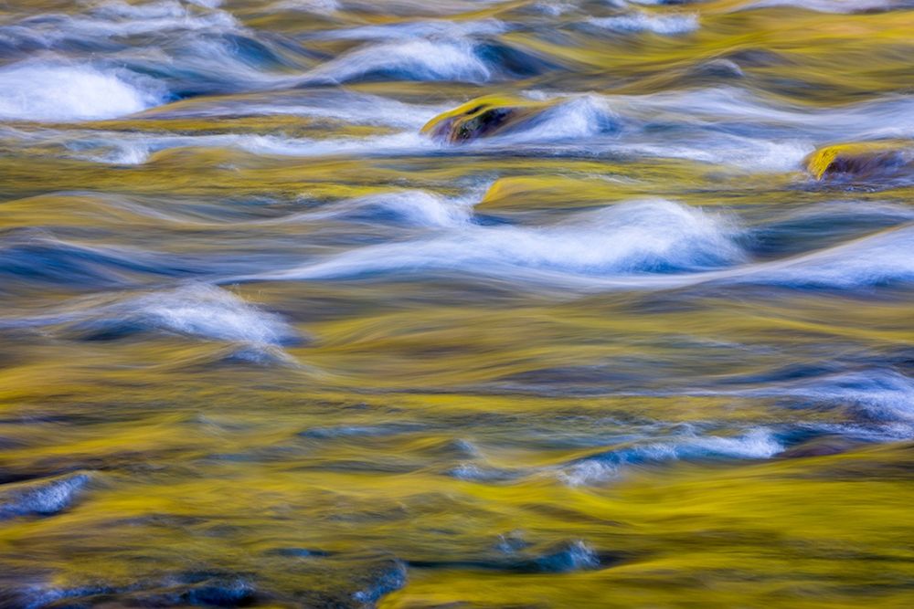 Reflections of Fall I art print by Kathy Mahan for $57.95 CAD