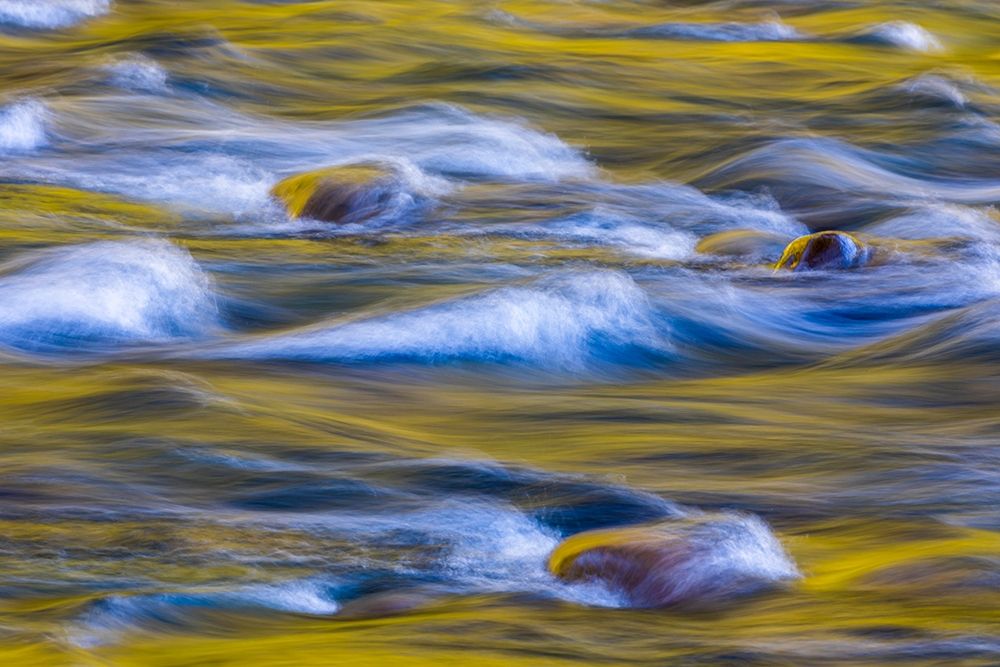 Reflections of Fall II art print by Kathy Mahan for $57.95 CAD