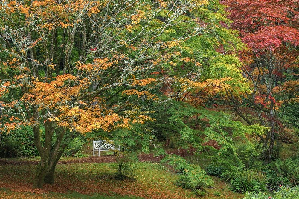 Garden Path art print by Kathy Mahan for $57.95 CAD