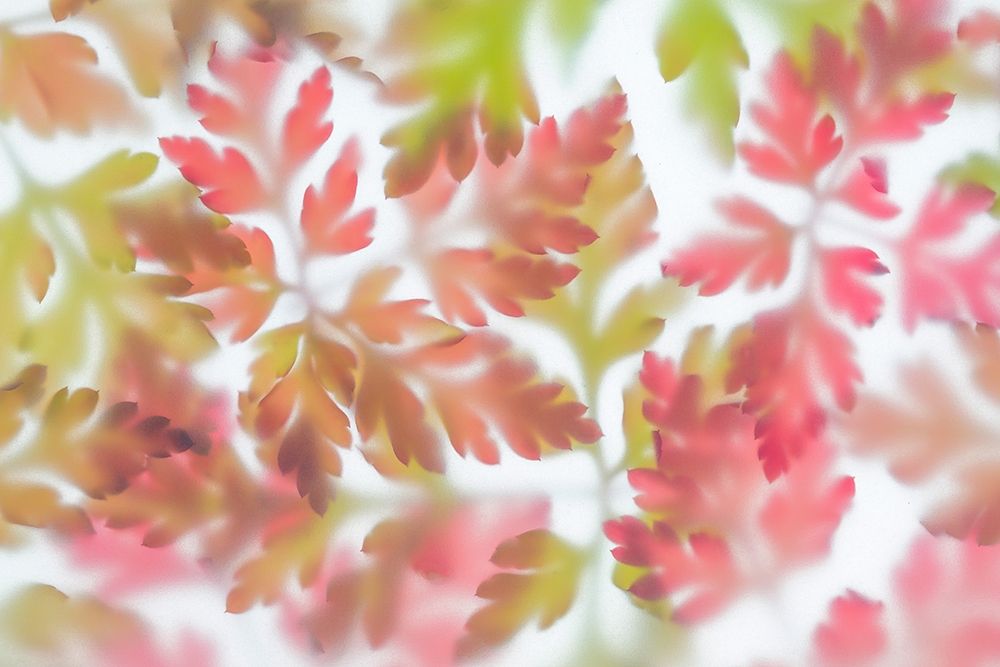 Herb Robert II art print by Kathy Mahan for $57.95 CAD
