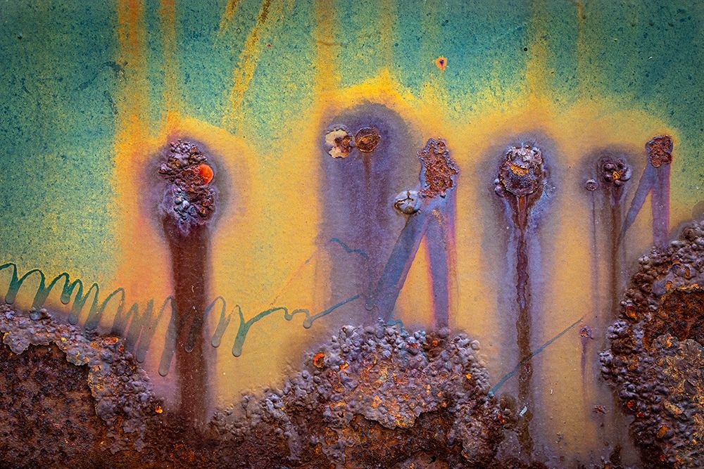 Rust II art print by Kathy Mahan for $57.95 CAD