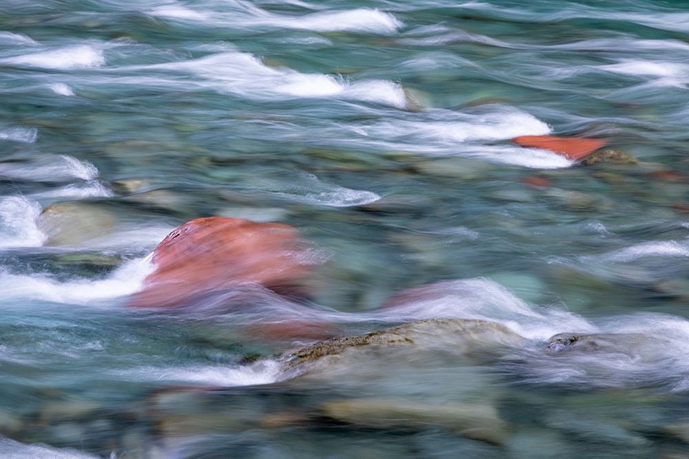 NF Skokomish River II art print by Kathy Mahan for $57.95 CAD