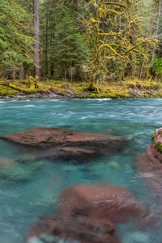 NF Skokomish River III art print by Kathy Mahan for $57.95 CAD