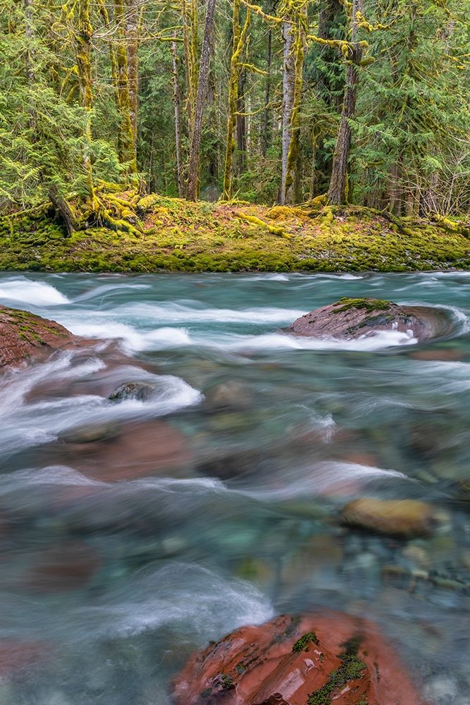 NF Skokomish River IV art print by Kathy Mahan for $57.95 CAD