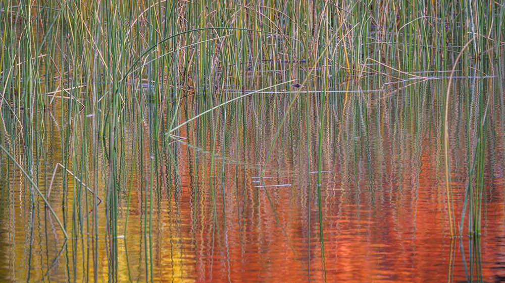 Fall Reflections I art print by Kathy Mahan for $57.95 CAD