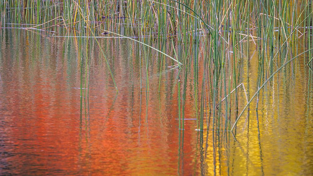 Fall Reflections II art print by Kathy Mahan for $57.95 CAD