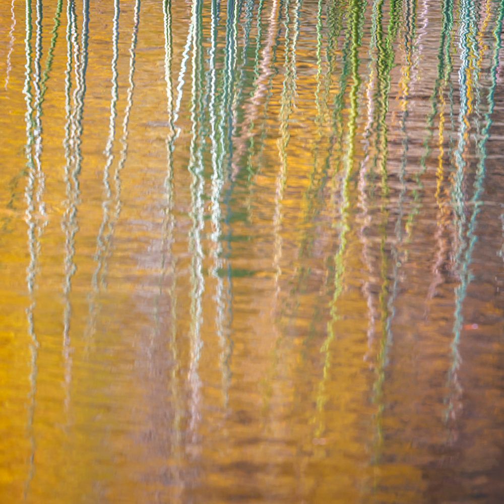 Fall Reflections III art print by Kathy Mahan for $57.95 CAD