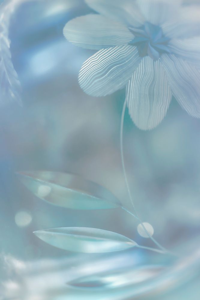 Three Leaves And Flower art print by Kathy Mahan for $57.95 CAD